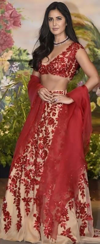 With intricate embroidery, a flowing silhouette, and a touch of glamour, Katrina exuded elegance and grace, leaving everyone mesmerized by her impeccable style.